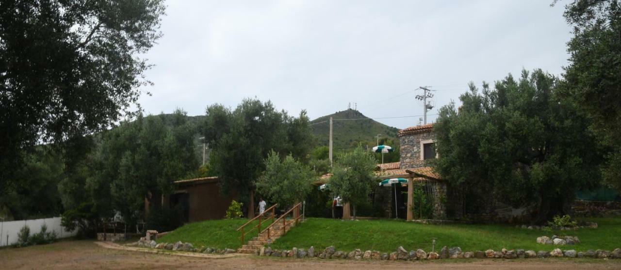 Le Case Di Arconte Marina di Camerota Extérieur photo