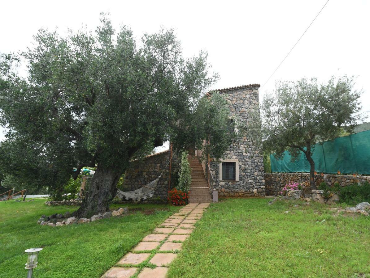 Le Case Di Arconte Marina di Camerota Extérieur photo