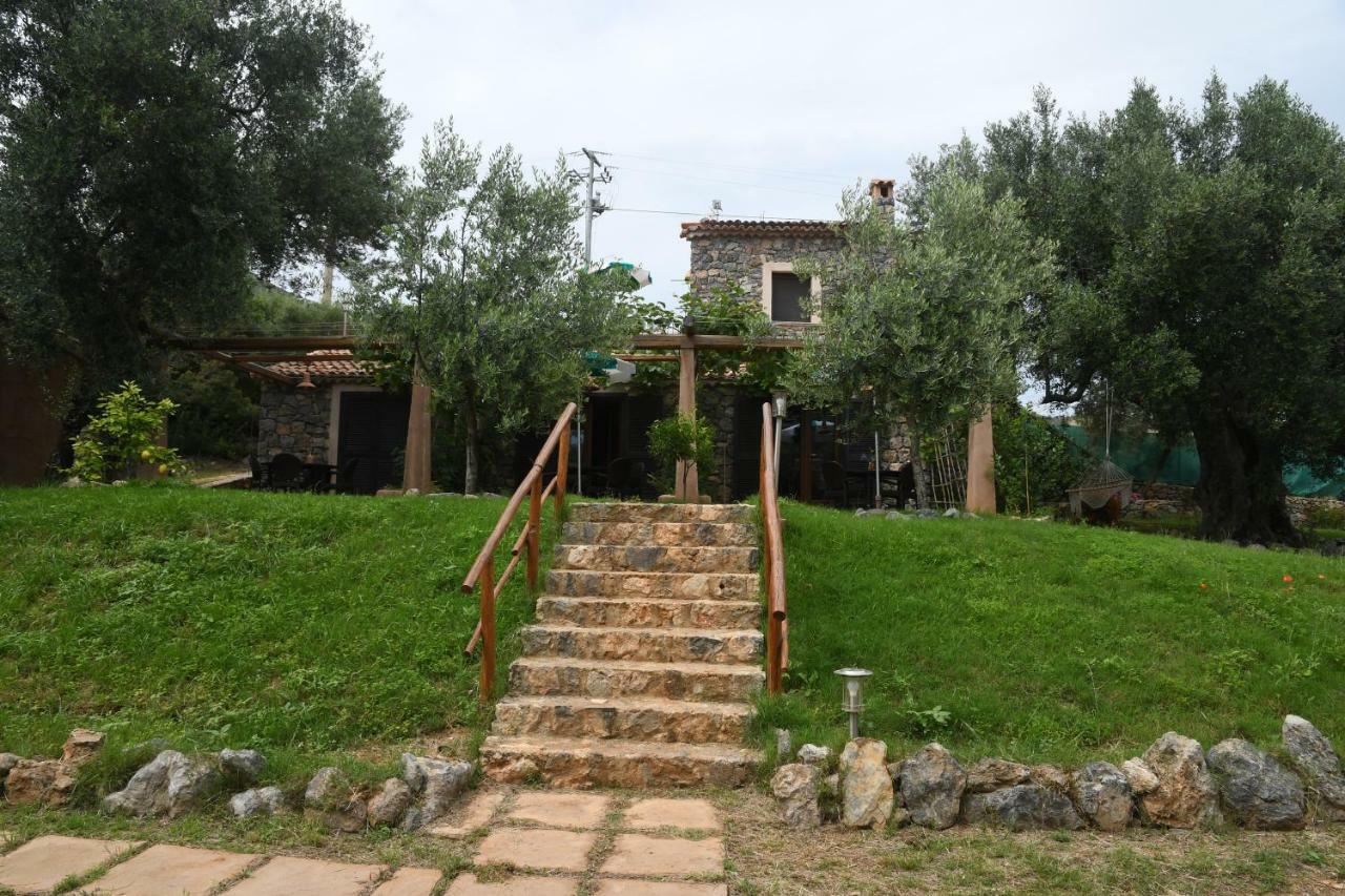 Le Case Di Arconte Marina di Camerota Extérieur photo